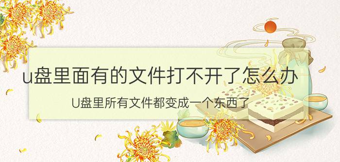 u盘里面有的文件打不开了怎么办 U盘里所有文件都变成一个东西了，怎么办？